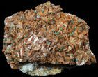 Malachite, Selenite and Ferroan Dolomite Association - Morocco #57225-1